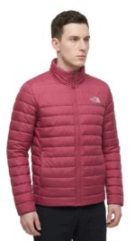 Casaca Pluma The North Face Caballero - Imagen 2